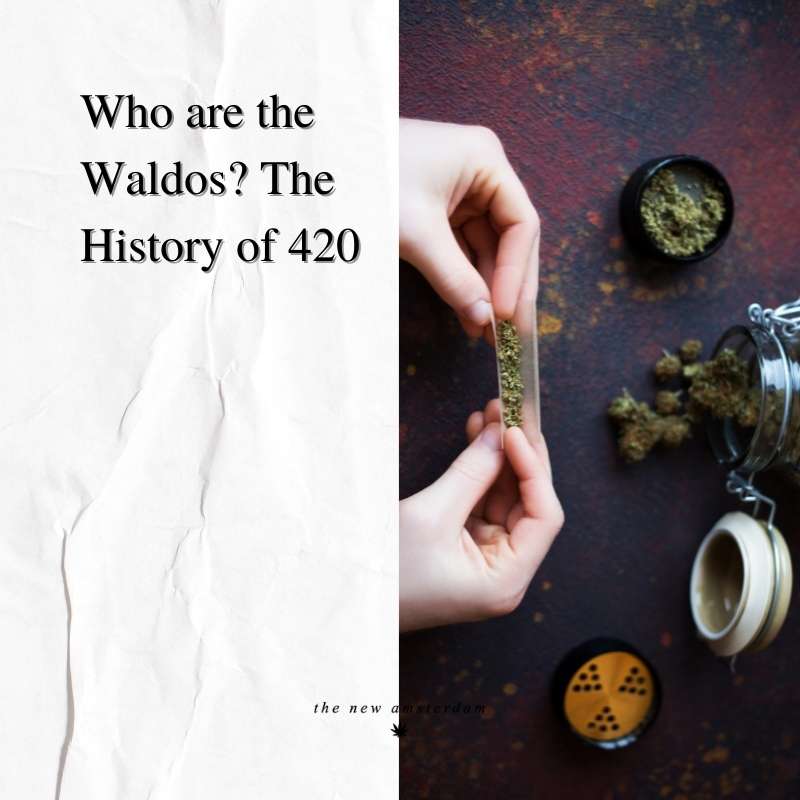 Who are the Waldos? The History of 420 - The New Amsterdam