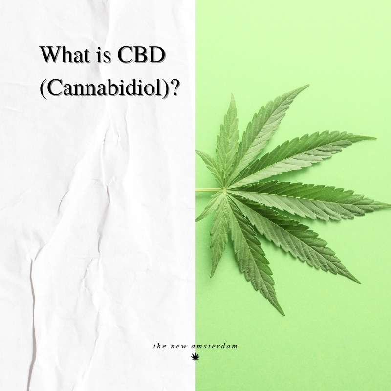 What is CDB - The New Amsterdam