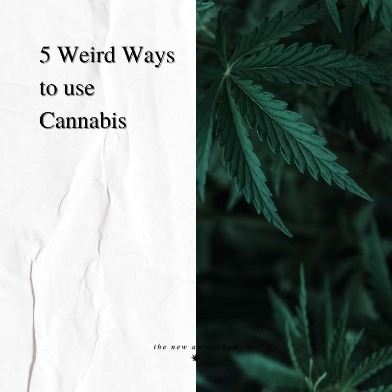5 Weird Ways to use cannabis - The New Amsterdam