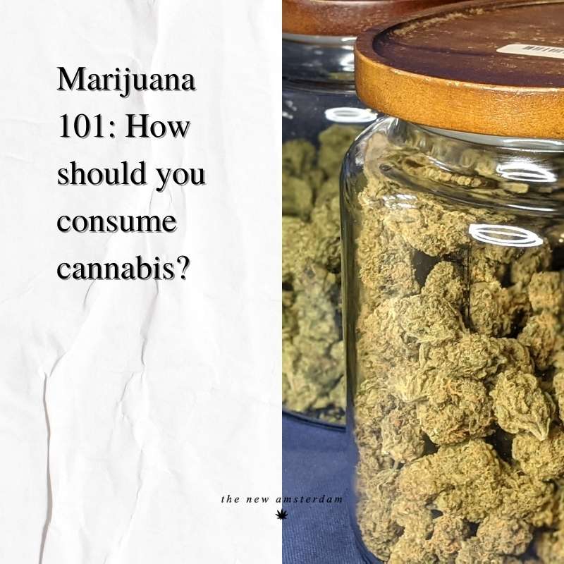 Marijuana 101 - How should you consume cannabis - The New Amsterdam