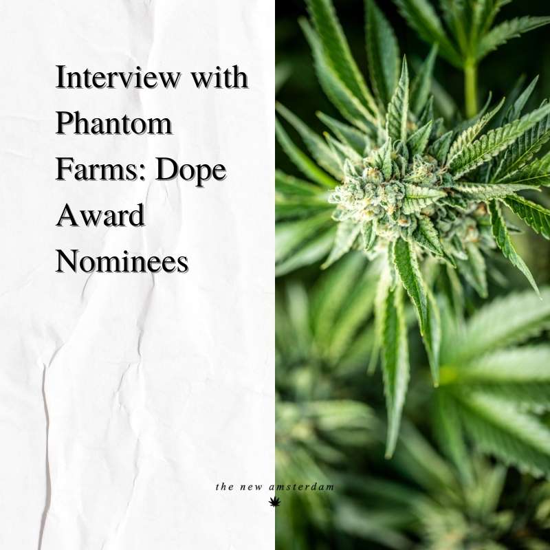 Interview with Phantom Farms - Dope award nominees - The New Amsterdam