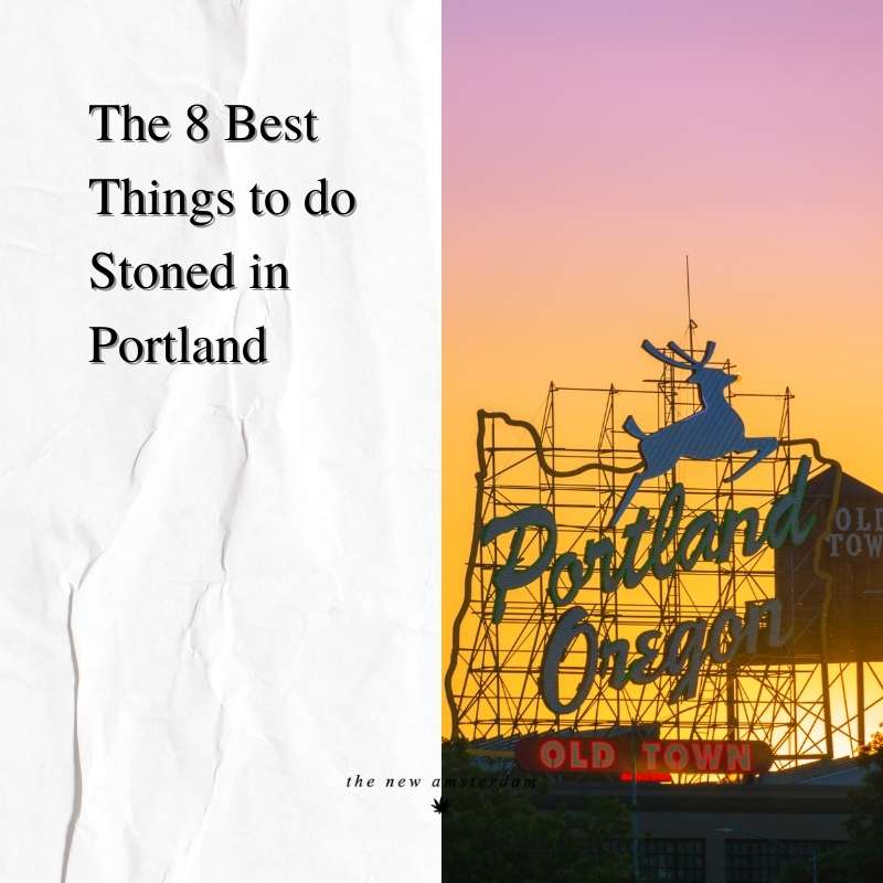 The 8 best things to do stoned in Portland - The New Amsterdam
