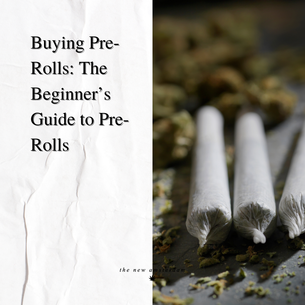 Buying Pre-Rolls" The Beginner's Guide to Pre-Rolls