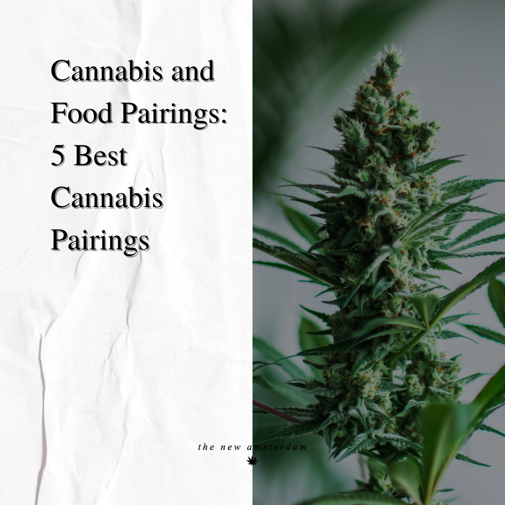 Cannabis and Food Pairings: 5 Best Cannabis Pairings