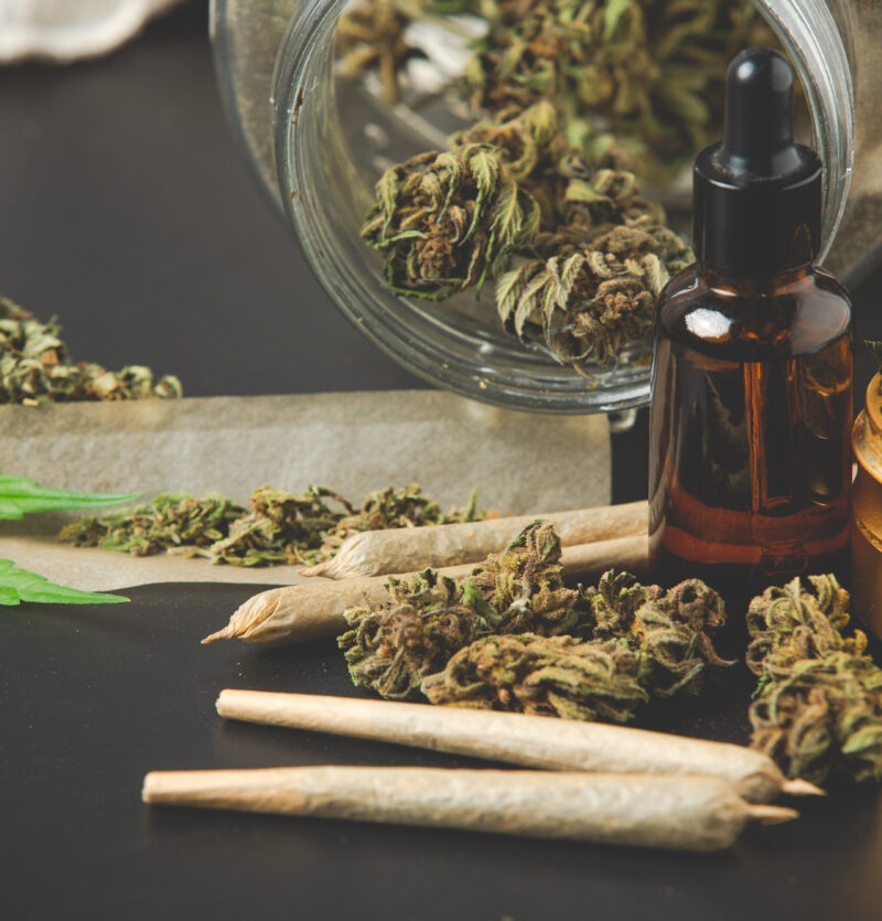 choosing the right cannabis