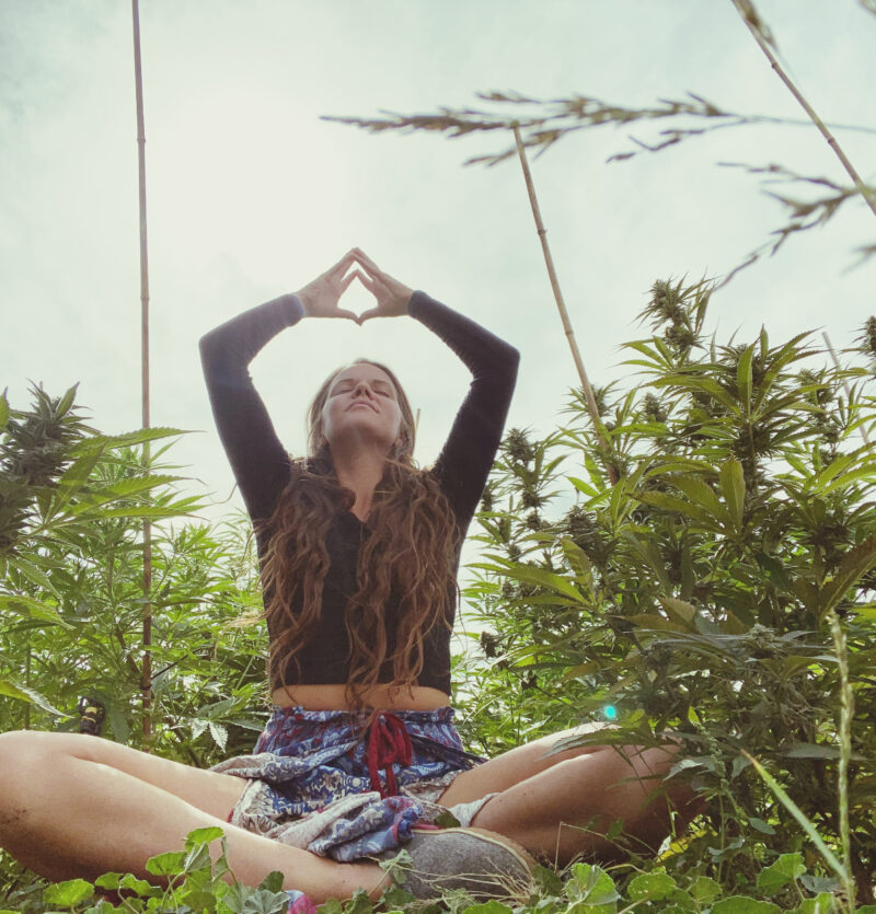 yoga and cannabis