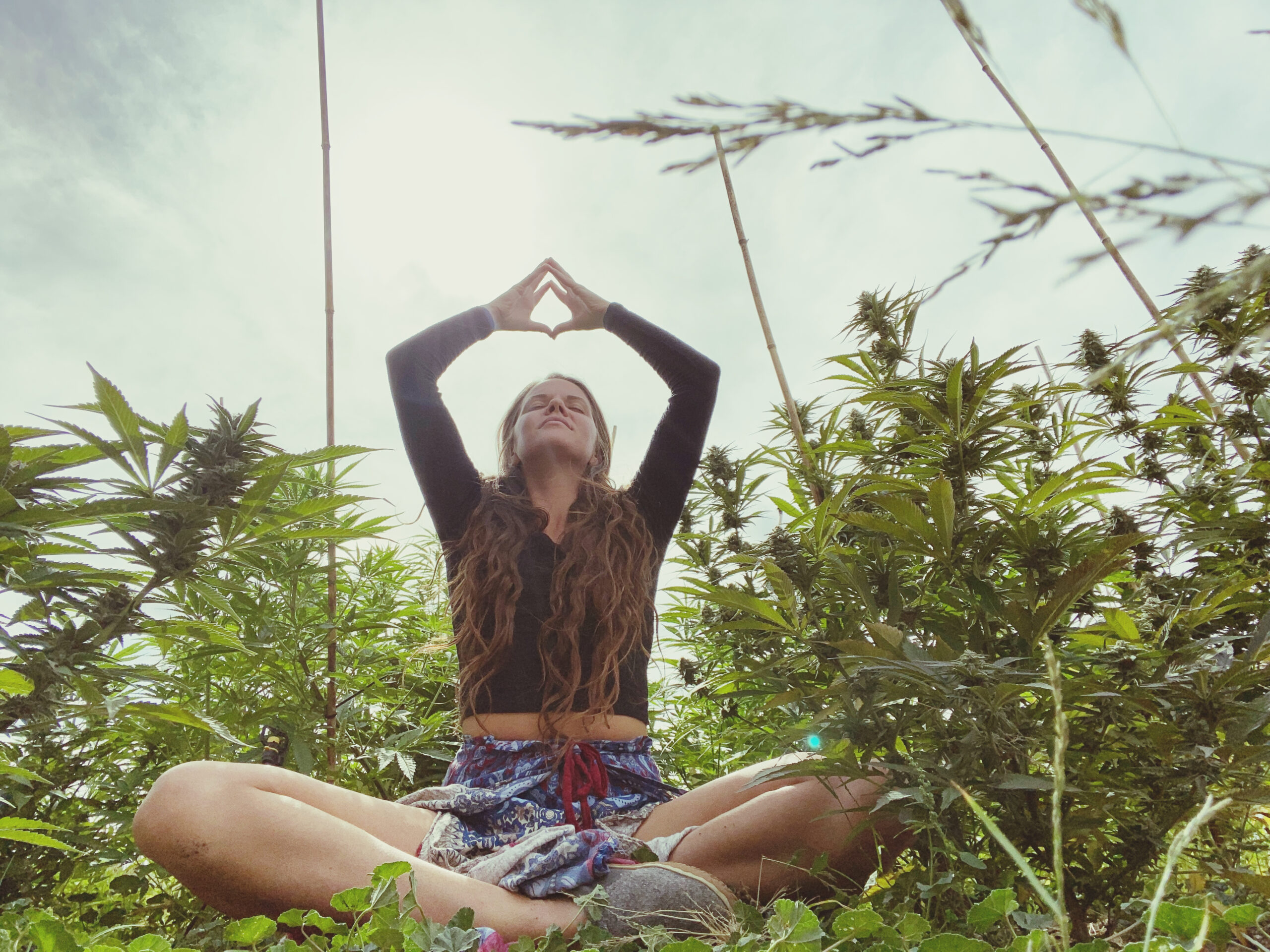 yoga and cannabis