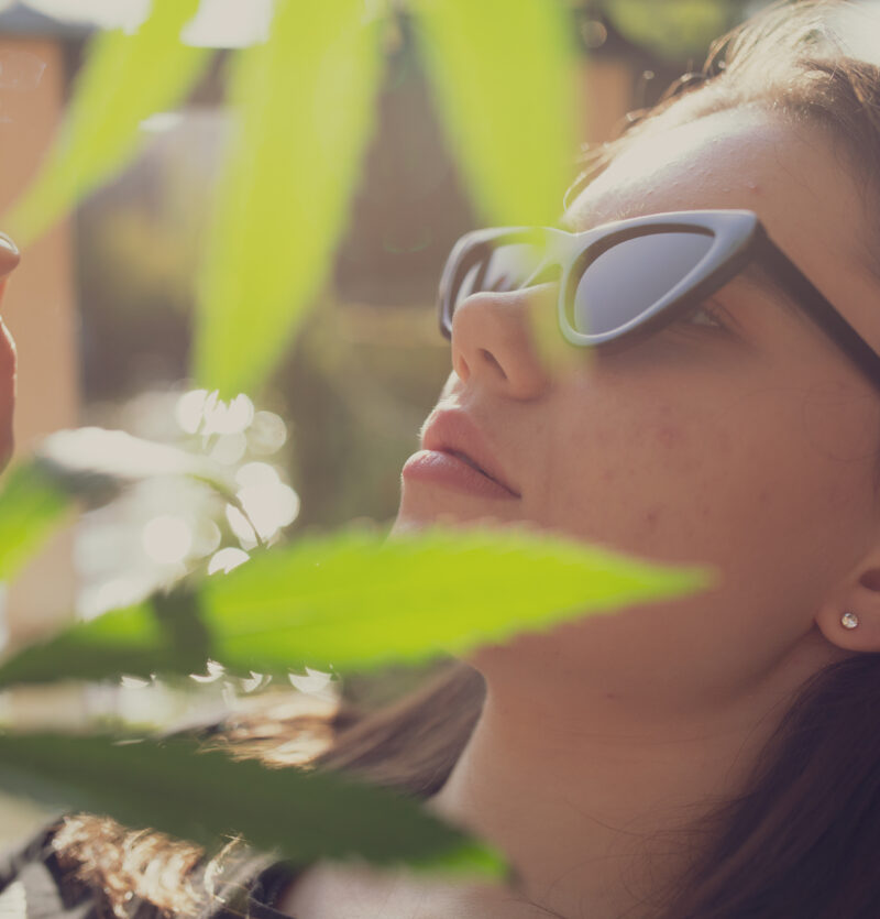 summer cannabis strains